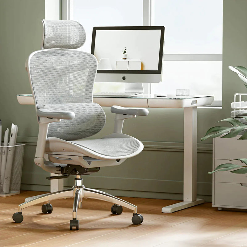 Sihoo Doro Ergonomic Office Chair C300 (stock burning) 