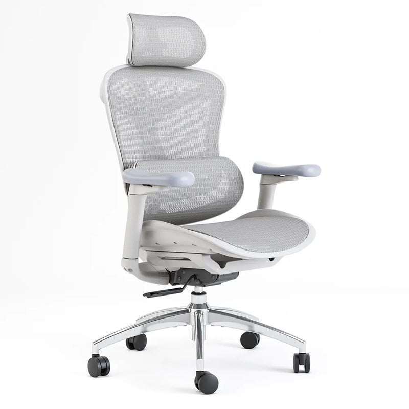 Sihoo Doro Ergonomic Office Chair C300 (stock burning) 