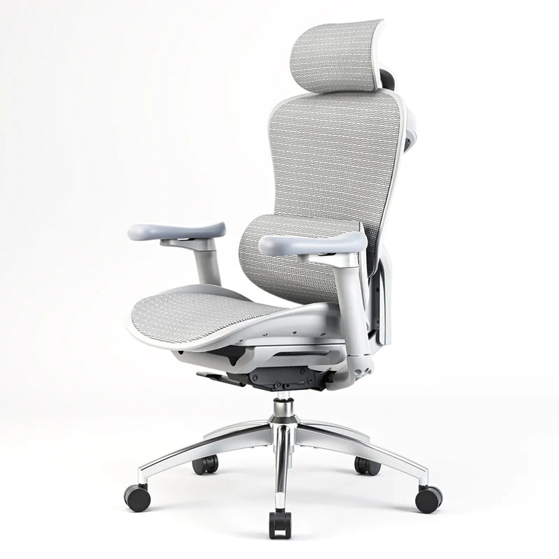 Sihoo Doro Ergonomic Office Chair C300 (stock burning) 