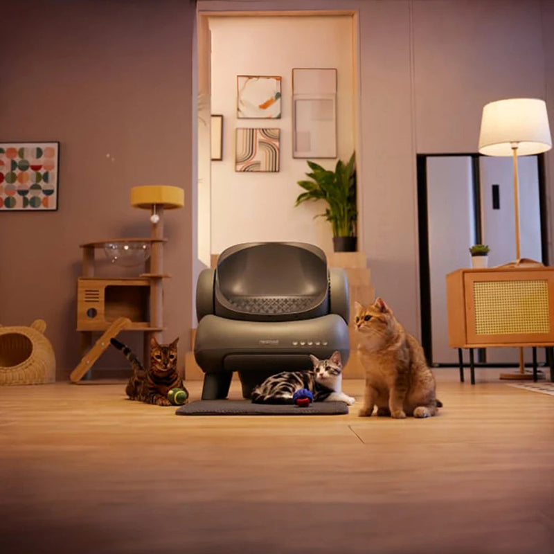 CatCloud M1 – Automatic Cat Litter Box – Odor-Free, Self-Cleaning, and Smart