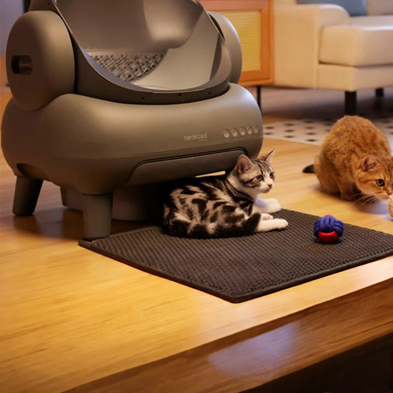 CatCloud M1 – Automatic Cat Litter Box – Odor-Free, Self-Cleaning, and Smart